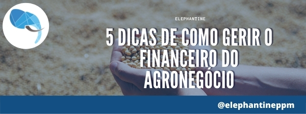 Leia mais sobre o artigo 5 dicas de como gerir o financeiro do agronegócio
